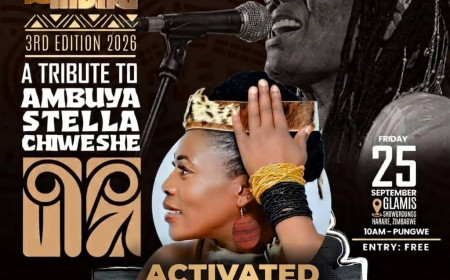 Florence Nyamazana: Zimbabwean Mbira Musician
