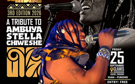 Amadhuve Sasha: Zimbabwean Mbira Music & Heritage