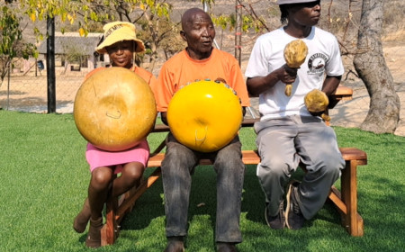 The Spiritual Pulse of Zimbabwe: The Sacred Mbira