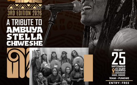 Nzombehuru Mbira Ensemble: Shona Music Powerhouse