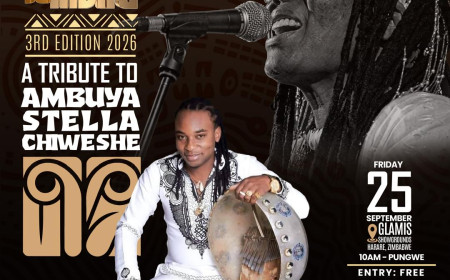 Vee Mhofu & Dziva ReMbira: Redefining Zimbabwean Afro-Fusion