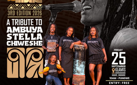Priscila Wadyewata and Dzamawuruka Mbira Band