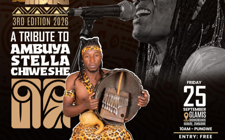 Texas Tekenya: The Rise of the Afro Mbira Fusion Star