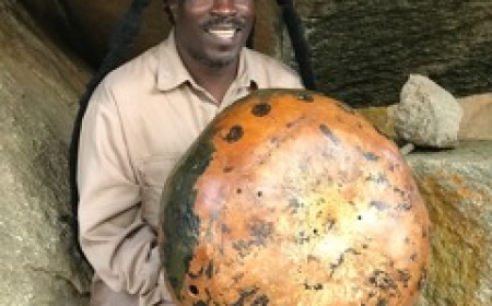 The Legacy of Gwenyambira Nyamasvisva in Shona Music